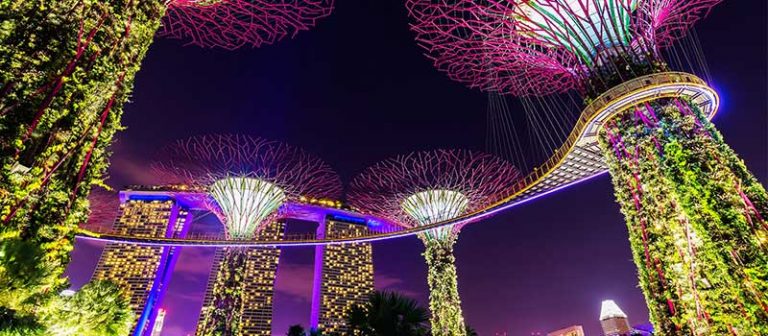 What to do at Gardens by the Bay | HL Assurance